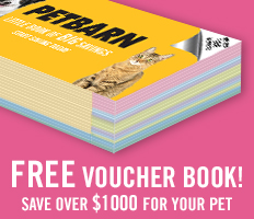 2 Months free Promo